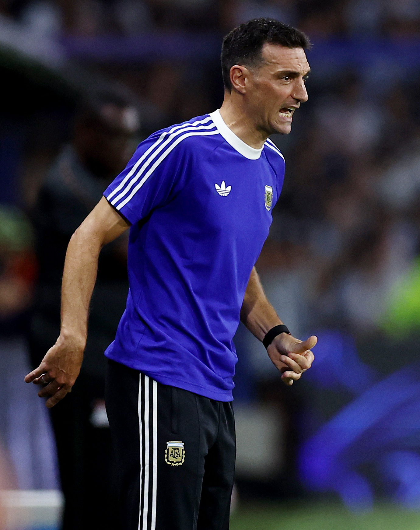 ريال مدريد يتواصل بشكل مباشر مع سكالوني