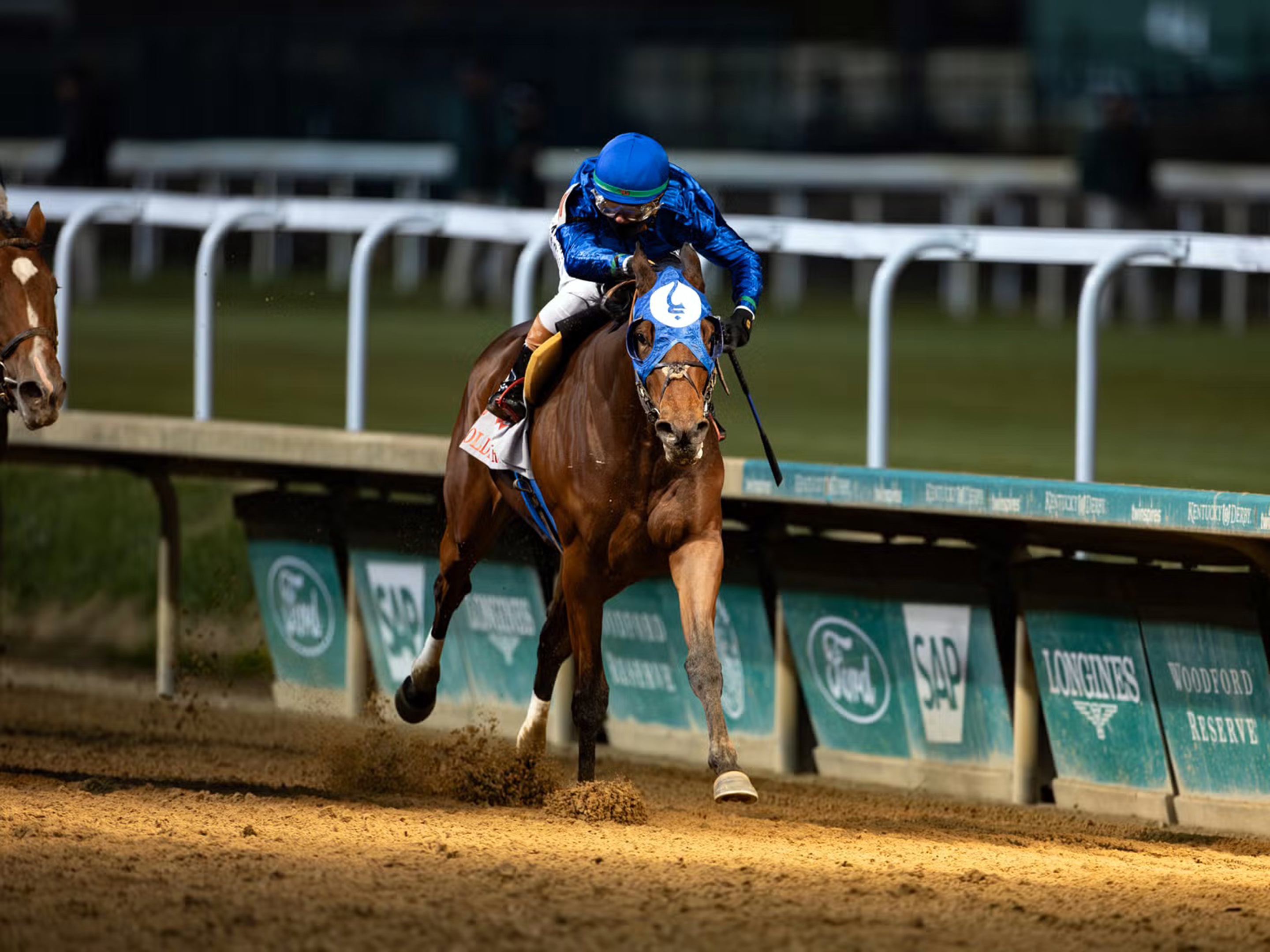 المهرة «بيلا باليرينا» أمل «غودولفين» للفوز بلقب ثالث في «كنتاكي أوكس» الأميركي
