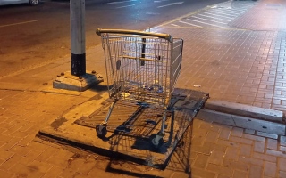الصورة: عربات تسوق