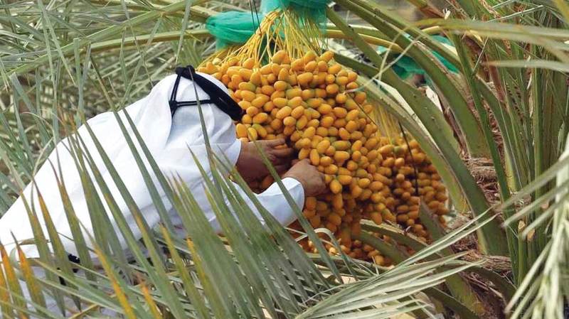 الأجداد اعتمدوا على النجوم لمعرفة الفصول والتنبؤ بالتغيرات الجوية. أرشيفية