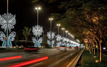 الصورة: الإمارات تزهو في عيد الأضحى بالفرح وعناقيد النور