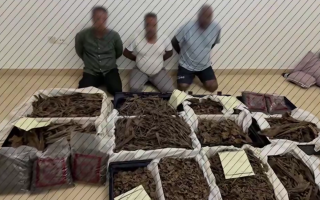 الصورة: بالفيديو.. تفاصيل سقوط "عصابة العود الفاخر" في قبضة شرطة دبي خلال 12 ساعة