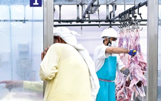 18.4 ألف أضحية استقبلتها مقاصب دبي خلال العيد