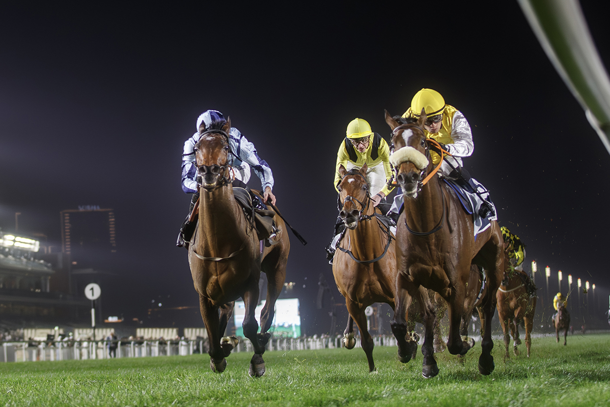 64 أمسية في الموسم الجديد لسباقات الخيل في الإمارات.. والانطلاقة 22 أكتوبر المقبل
