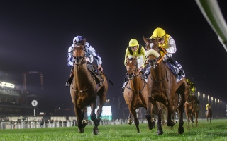 الصورة: 64 أمسية في الموسم الجديد لسباقات الخيل في الإمارات.. والانطلاقة 22 أكتوبر المقبل