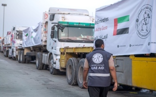 الصورة: دخول 4 قوافل مساعدات إماراتية إلى غزة تحمل 740 طناً من الطرود الغذائية
