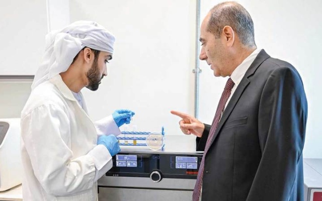 الصورة: &laquo;التعليم العالي&raquo;: تطوير 140 برنامجاً جامعياً لدعم سوق العمل