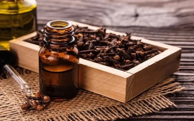 الصورة: كيف يخفف زيت القرنفل ألم الأسنان.. وهل يعد علاجاً ناجعاً؟