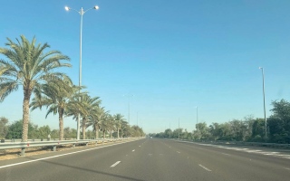 الصورة: أعمدة مضاءة في النهار