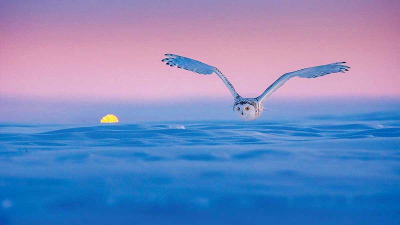 جان بوماه &ndash; الصين