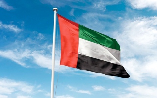 الإمارات تدين الاعتداءات الإسرائيلية على القنيطرة ودرعا
