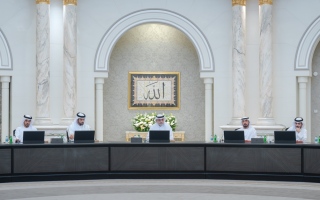 "تنفيذي الشارقة" يعتمد مشروع الهيكل التنظيمي العام لدائرة التنمية الاقتصادية