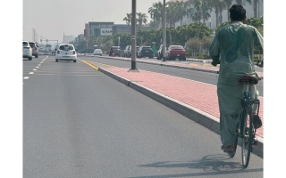 الصورة: دراجات