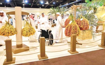الصورة: &laquo;دبي للرطب 2026&raquo;.. النخلة تجمع التراث والاستدامة في منصة وطنية