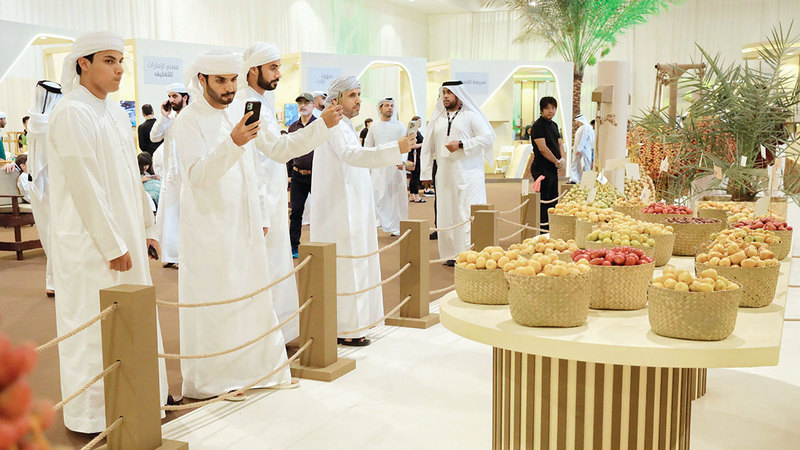 «دبي للرطب».. احتفاء بالنخلة وجذور الهوية الإماراتية
