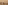 الصورة: أعراس نسائية تستعين بمؤثرات &laquo;التواصل &raquo; ل &laquo;توثيق الحفل &raquo;.. ومختصون: تجاوز للخصوصية