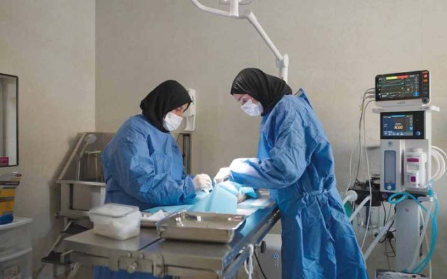 الصورة: بلدية دبي تفتتح مأوى للحيوانات الأليفة في ورسان
