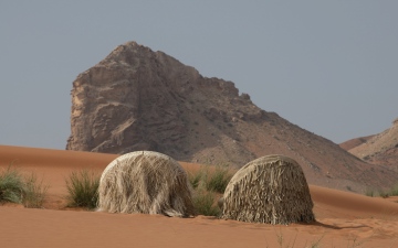 الصورة: مجلس إرثي للحرف المعاصرة يقود جهود البحث والتوثيق لتعزيز استدامة الحرف الإماراتية