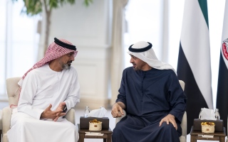 الصورة: رئيس الدولة يستقبل ولي عهد عجمان ويبحثان شؤون الوطن والمواطن