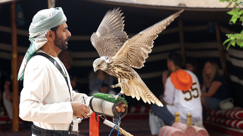 تصوير: عبدالله المطروشي