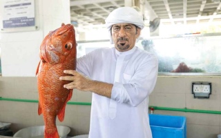 الصورة: ناصر.. مواطن ينافس الباعة في سوق السمك