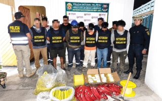 الصورة: &laquo;الدرع الأخضر&raquo; بقيادة الإمارات تفكك شبكات الجريمة البيئية في حوض الأمازون