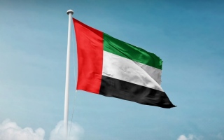 محكمة أبوظبي اللتحادية الاستئنافية تؤجل قضية "العتاد العسكري للسودان" إلى 12 أغسطس