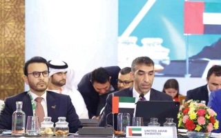 الصورة: الزيودي: الإمارات تطالب بفتح مضيق هرمز دون شروط