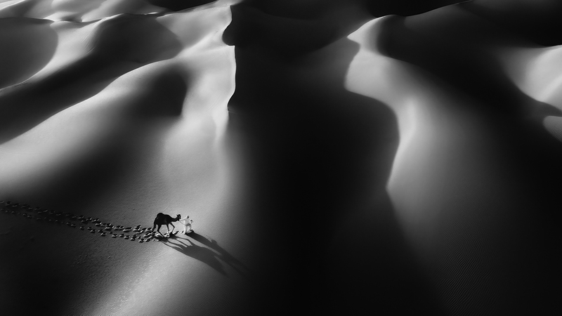 راشد السميطي - الإمارات
