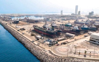الصورة: &laquo;دبي الملاحية&raquo; تستقبل 52 سفينة في يوم واحد