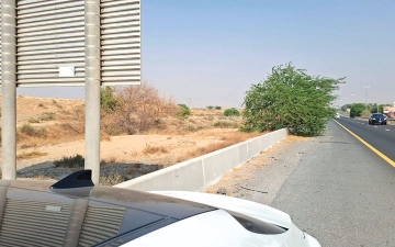 الصورة: لوحة
