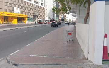 الصورة: عربة تسوّق