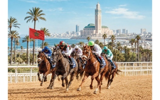 الصورة: 17  خيلًا تتنافس على مضمار &laquo;أنفا&raquo; الرملي في المغرب