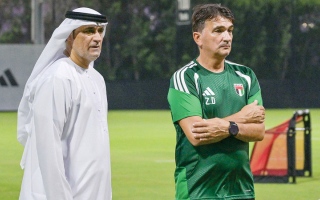 الصورة: زلاتكو: متعطش لحصد الألقاب مع المنتخب