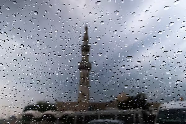 صورة الخبر