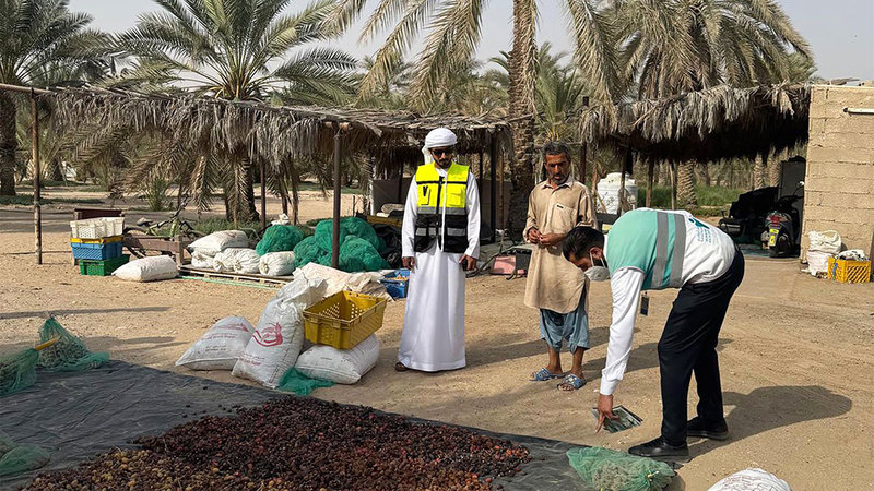 صورة الخبر