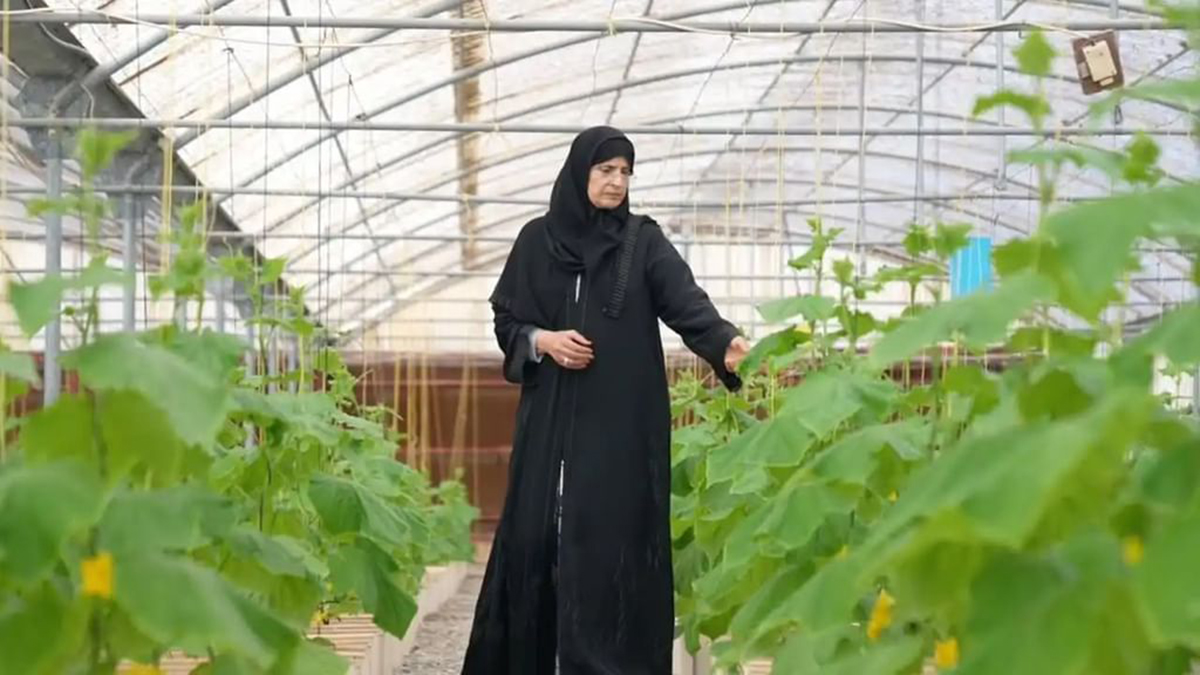 صورة الخبر