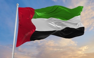 الصورة: الإمارات تُدين بشدة هجمات جماعة الحوثي على مطار الملك خالد الدولي