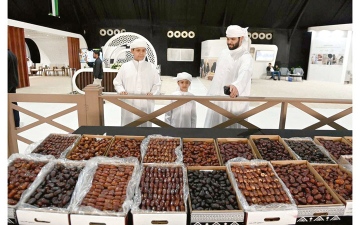 الصورة: النخلة في قلب الحكاية.. &laquo;الظفرة للتمور&raquo; يجمع التراث والاستثمار