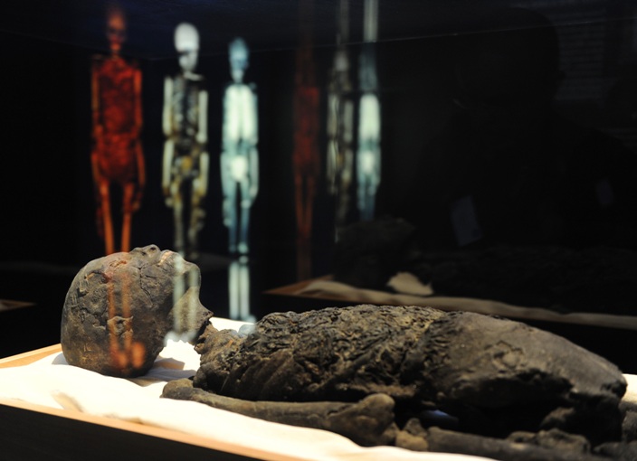 بعد أكثر من 30 عاماً على آخر زيارة للملك توت عنخ آمون الى نيويورك ها هو الفتى الذهبي يعود إليها مرة أخرى-أ.ف.ب