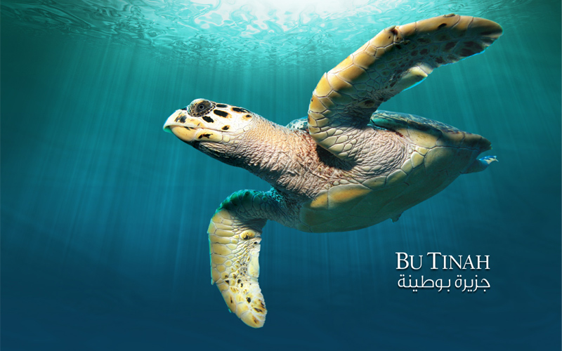 جزيرة بوطينة تأتي ضمن 28 موقعاً عالمياً تتنافس لتحظى سبعة منها فقط بلقب "عجائب الطبيعة السبع"-من المصدر