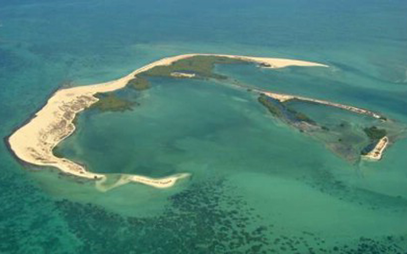 بوطينة هي واحدة من المناطق المهمة والرئيسة في "محمية مروح"، التي تعتبر أول وأكبر محمية بحرية في المنطقة يتم ضمها لشبكة محميات المحيط الحيوي التابعة منظمة اليونسكو-من المصدر