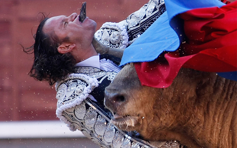 قرن الثور اخترق أسفل الجهة اليسرى لذقن المصارع الإسباني خوليو أباريثيو لينفذ رأسه من الفم-أ.ف.ب
