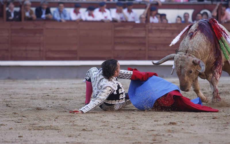 تم نقل أباريثيو إلى المستشفى حيث خضع لعمليتين جراحيتين استمرتا 6 ساعات ليتخطى مرحلة الخطر، وسط احتدام الجدل في الشارع الإسباني حول هذه الرياضة الوحشية-أ.ف.ب