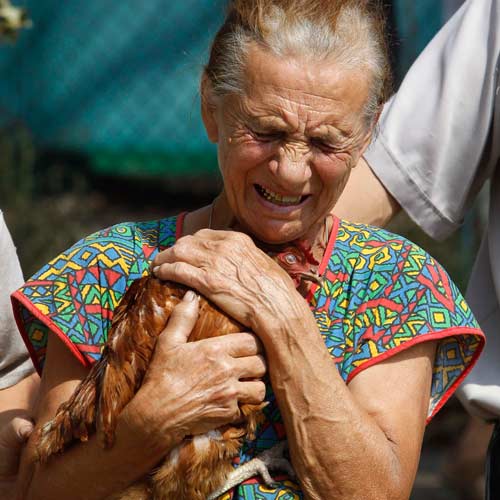 عجوز لم يبق لديها من حطام الدنيا غير هذه الدجاجة وألم المصيبة. رويترز