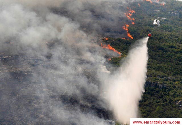 المصدر-رويترز