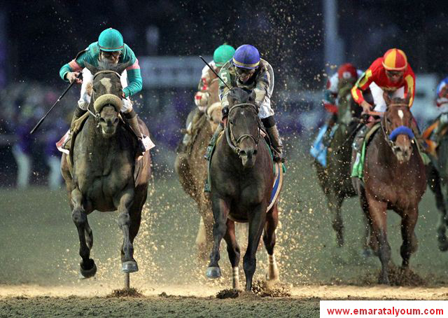 المصدر-ا.ف.ب