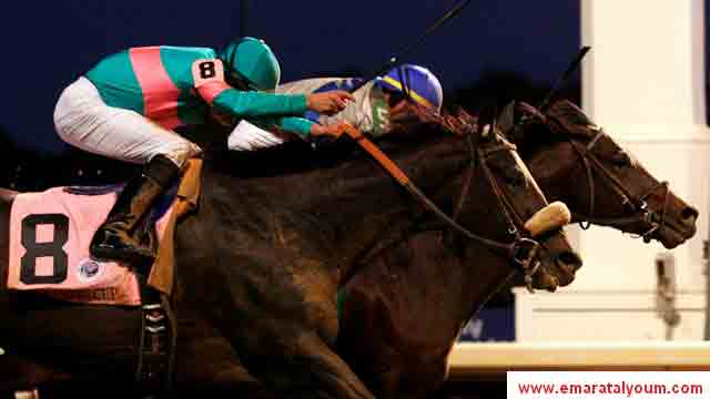 المصدر-ا.ف.ب