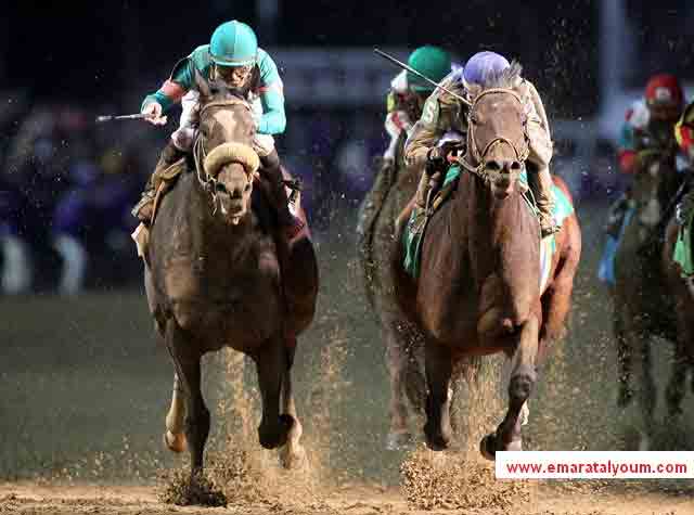 صور من مسابقة بطولة كأس العالم، للمربين للخيول في السباق الكلاسيكي 2010 في كنتاكي الولايات المتحدة -المصدر-ا.ف.ب