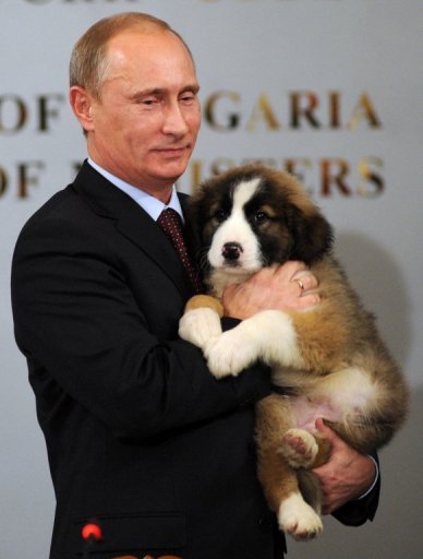 بوتين يطلب من الروس مساعدته على تسمية كلبه الجديد